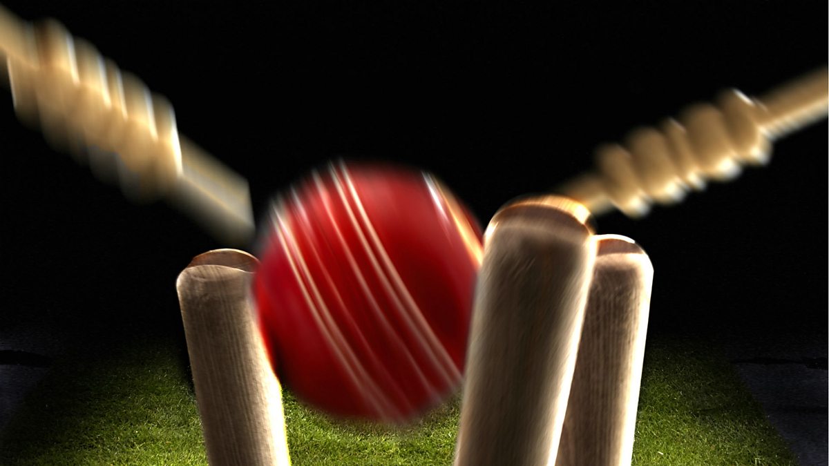 indoor cricket