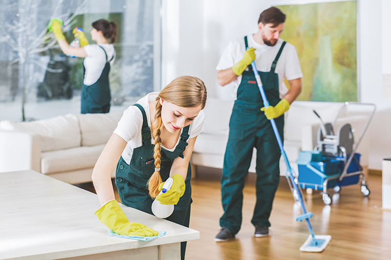 East Lansing cleaning services