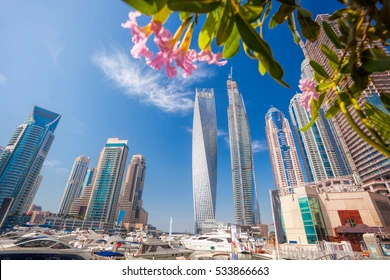 Flowers Dubai Marina