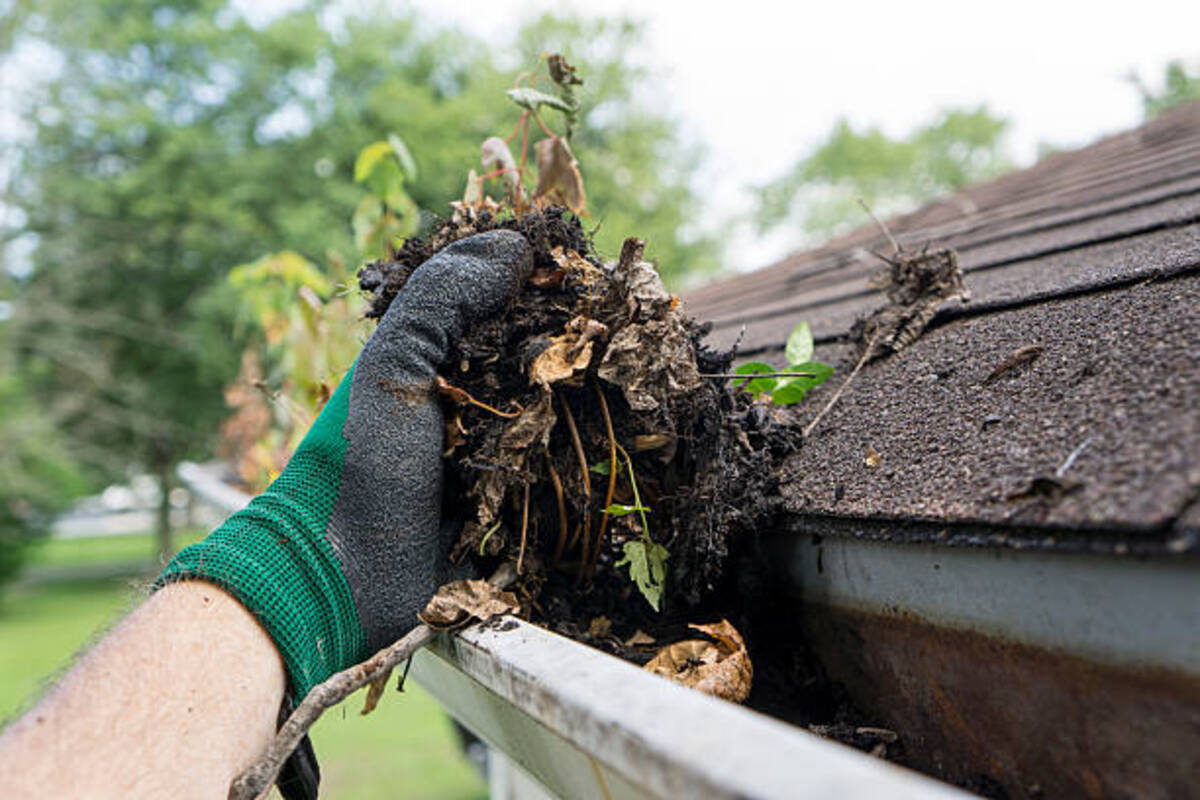 affordable gutter cleaning