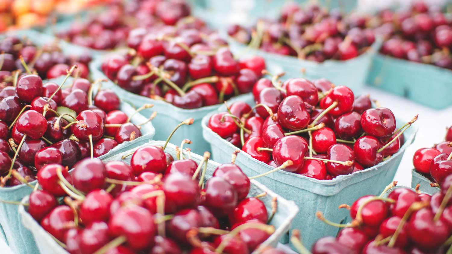 Fresh Cherries Market