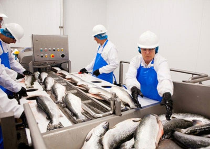 Processed Seafood & Seafood Processing Equipment Market