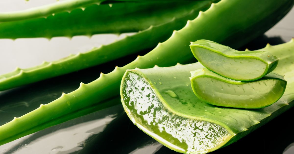 Global Aloe Vera Market