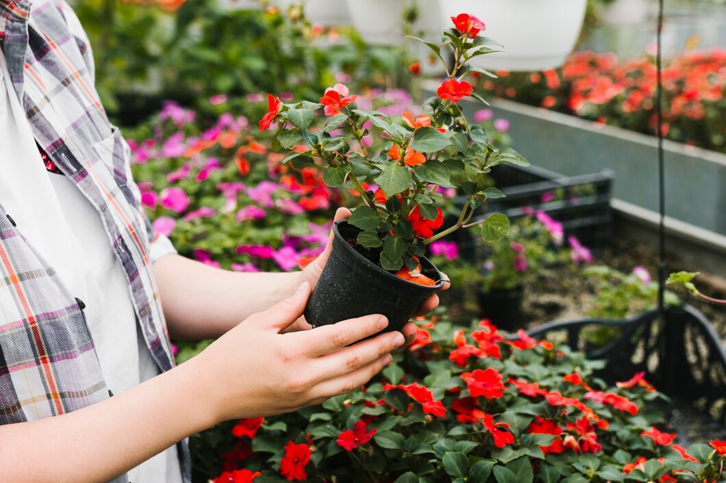 flowers shops delivery Dubai