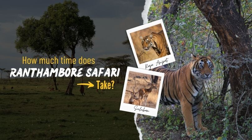 Ranthambore Safari,safari zones, Ranthambore booking 